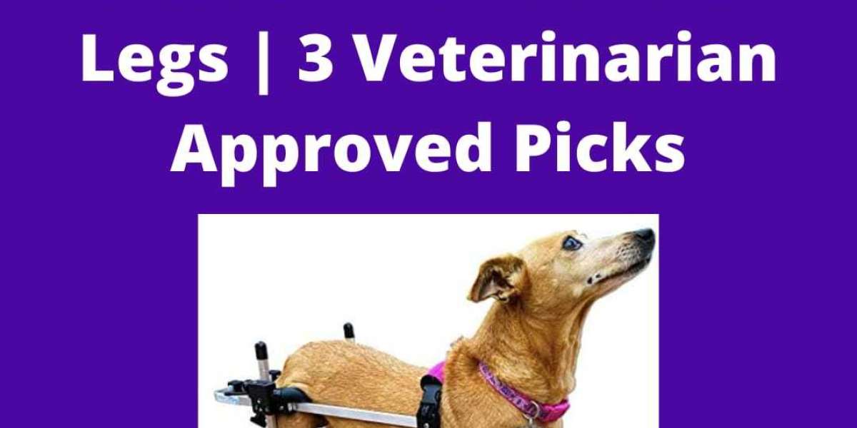 What to look for in a dog's wheelchair