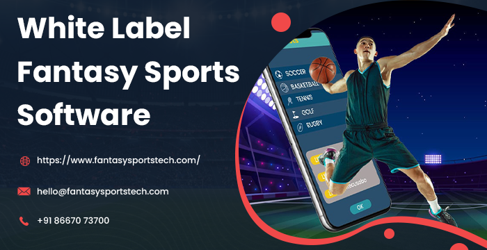White Label Fantasy Sports Software | Complete Guide for Startups