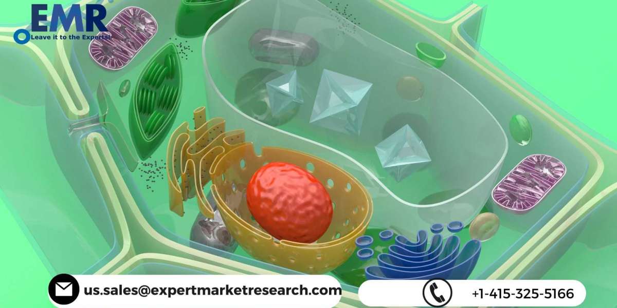 Global Nanocellulose Market Is Expected To Grow Steadily At CAGR Of 21% In The Forecast Period Of 2021-2026